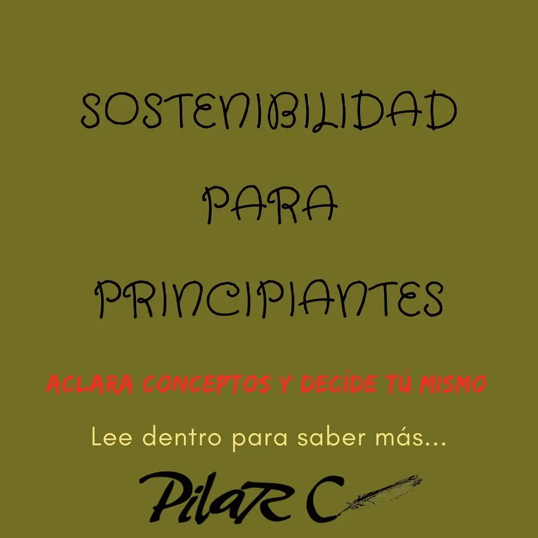 guía rápida de sostenibilidad para principiantes